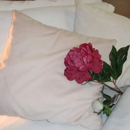 Riviera Otel 3*